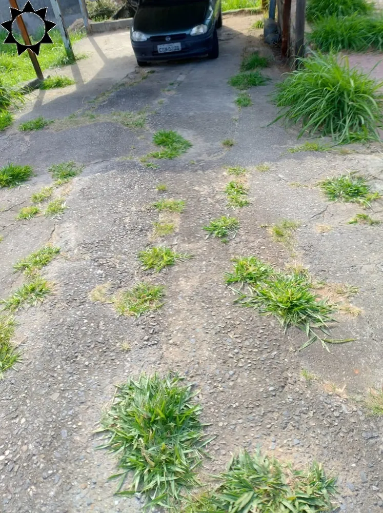 Terreno, 501 m² - Foto 6