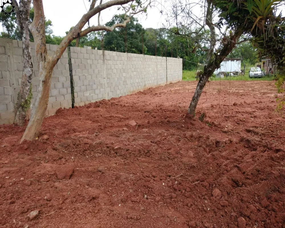 Terreno, 250 m² - Foto 6