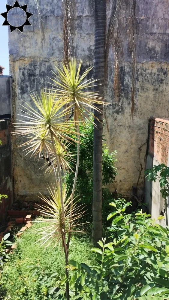 Casa, 2 quartos, 138 m² - Foto 3