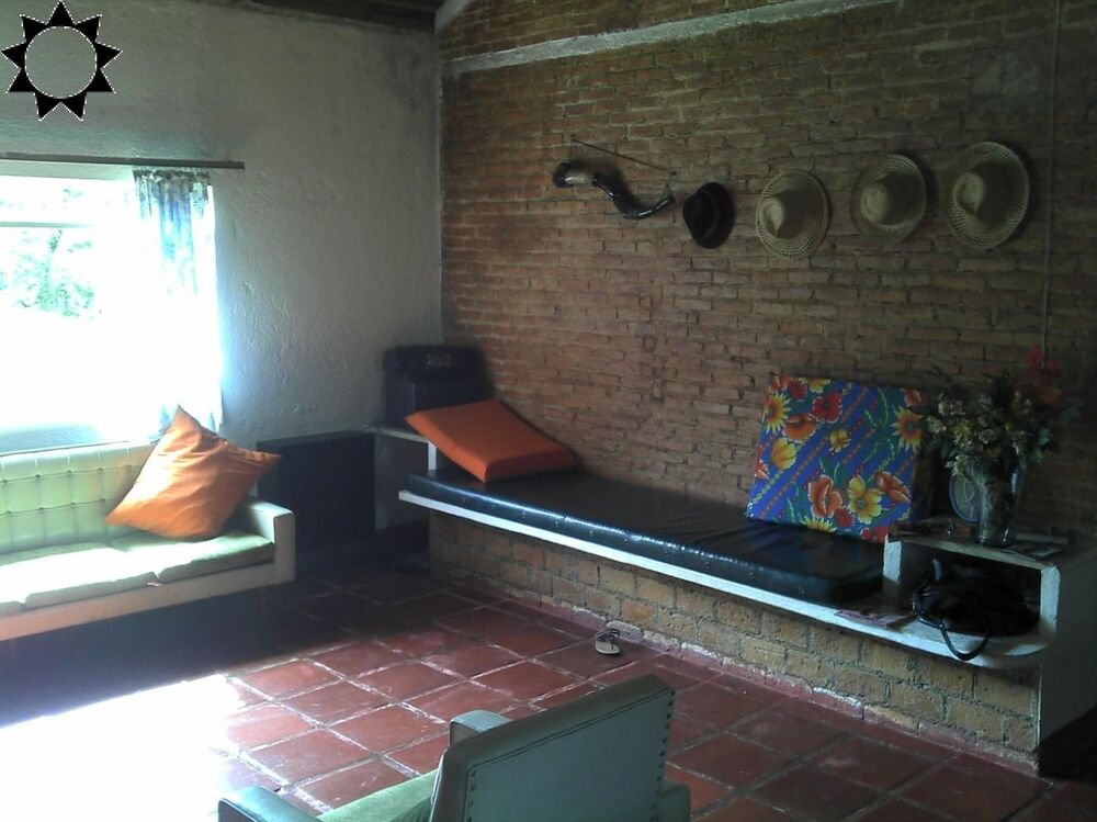 Sítio à venda com 3 quartos, 250m² - Foto 11
