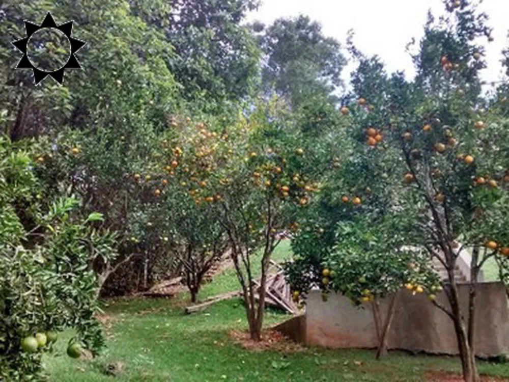 Casa, 6 quartos, 350 m² - Foto 7