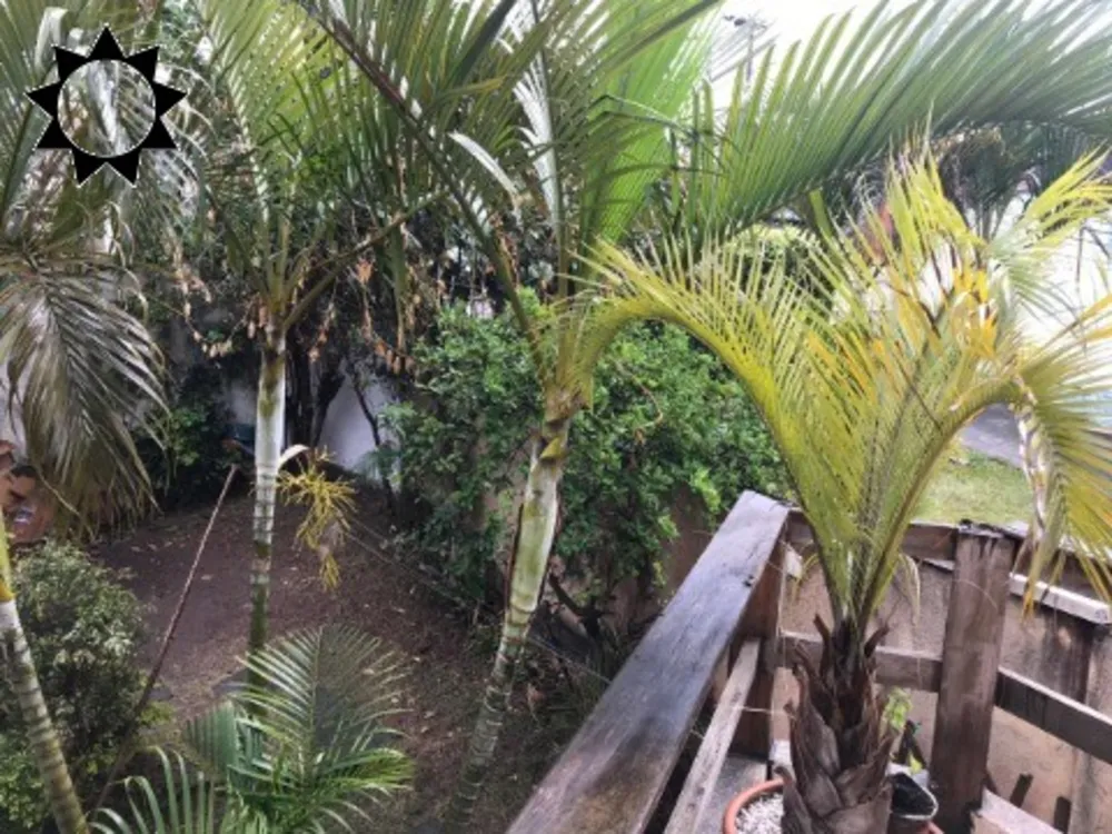 Casa, 3 quartos, 200 m² - Foto 11