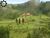 Terreno, 102 hectares - Foto 2
