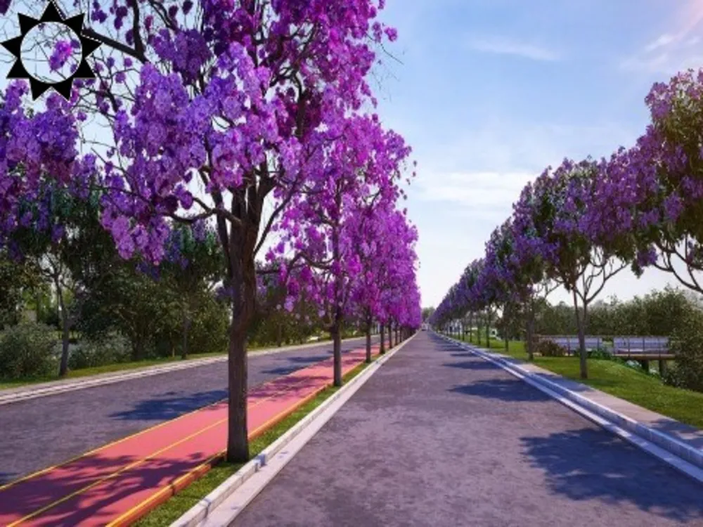 Terreno, 250 m² - Foto 12