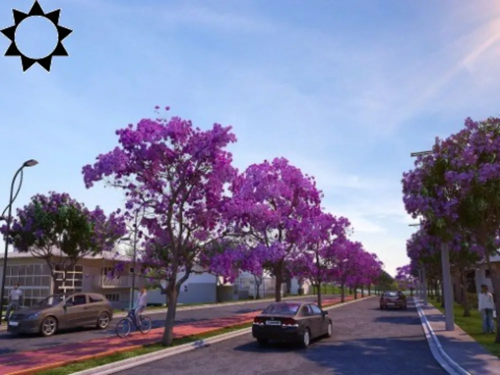 Terreno, 250 m² - Foto 11