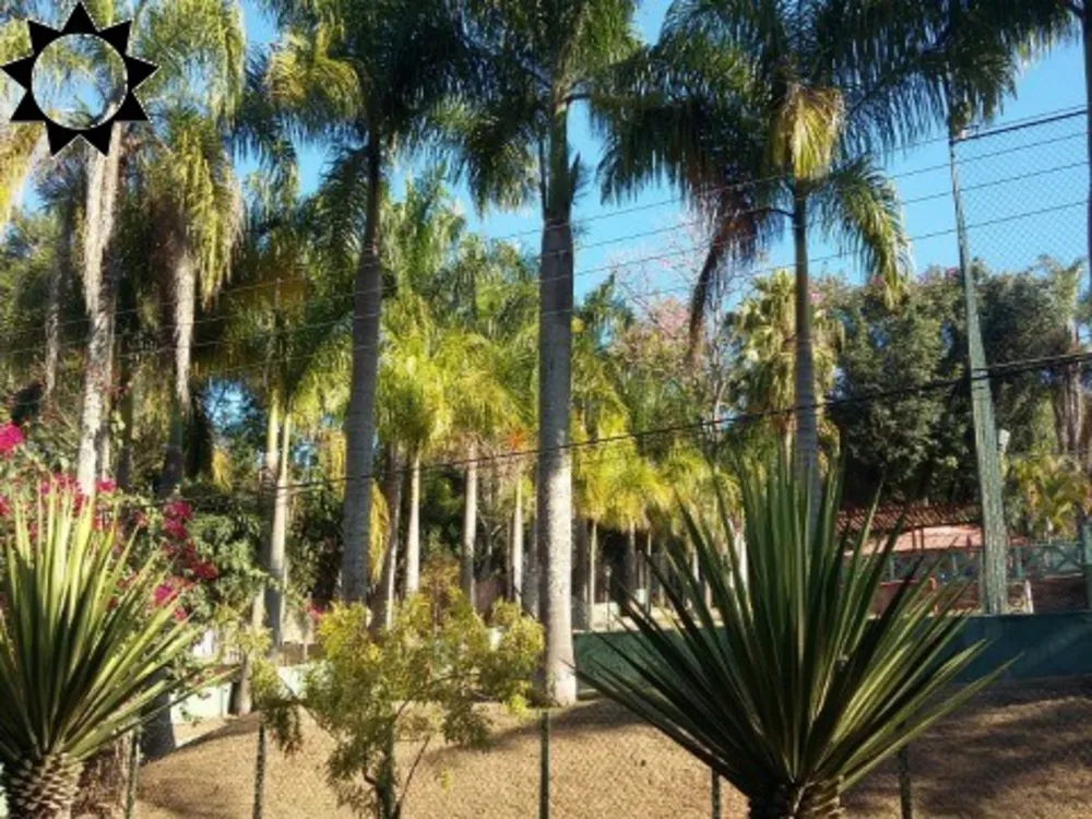 Chácara, 3 quartos, 5000 m² - Foto 14