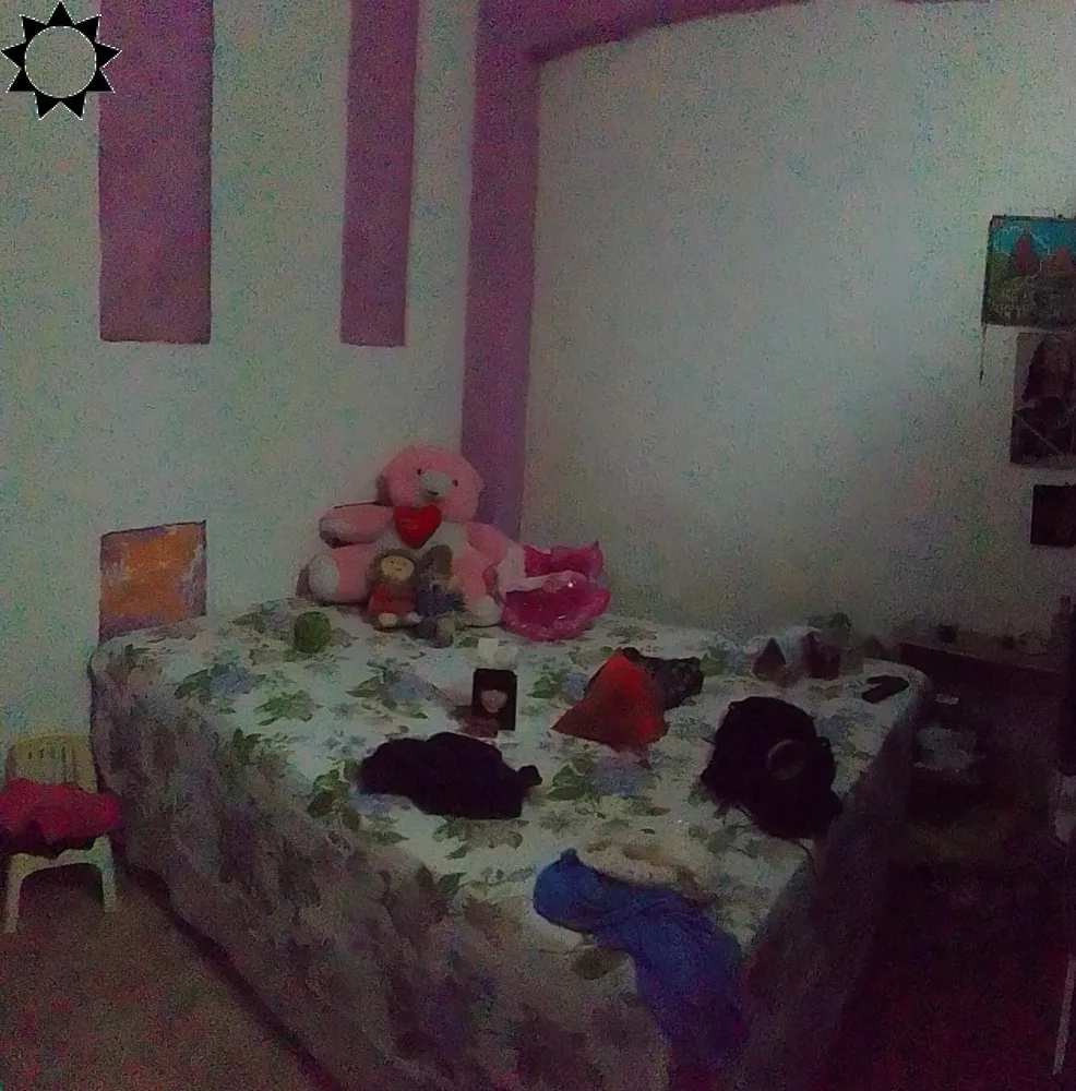 Casa, 3 quartos, 250 m² - Foto 6