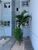 Apartamento, 2 quartos, 51 m² - Foto 2