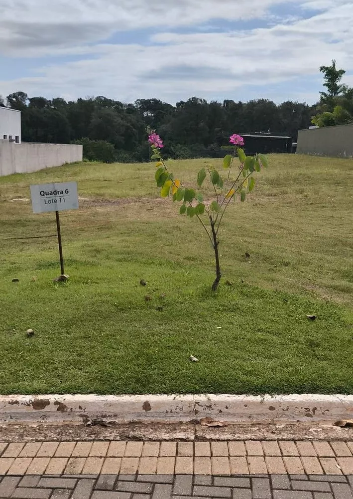 Loteamento e Condomínio, 1044 m² - Foto 3