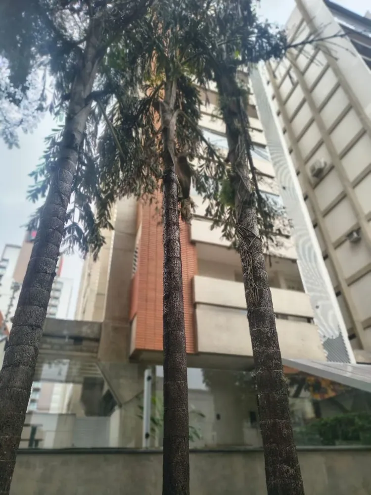 Apartamento, 3 quartos, 179 m² - Foto 2