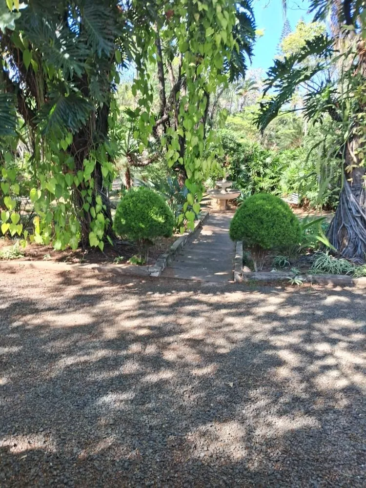 Terreno, 7000 m² - Foto 3