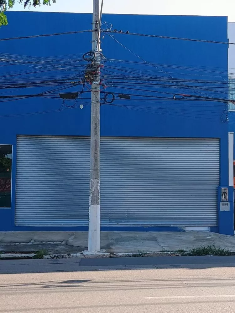 Loja-Salão, 230 m² - Foto 3