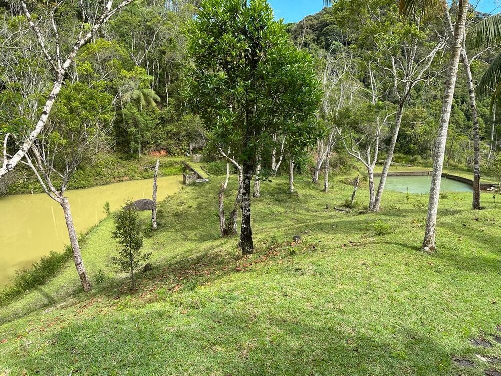 Sítio à venda com 5 quartos, 170m² - Foto 21