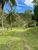 Sítio, 5 quartos, 5 hectares - Foto 22
