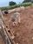 Sítio, 5 quartos, 5 hectares - Foto 14