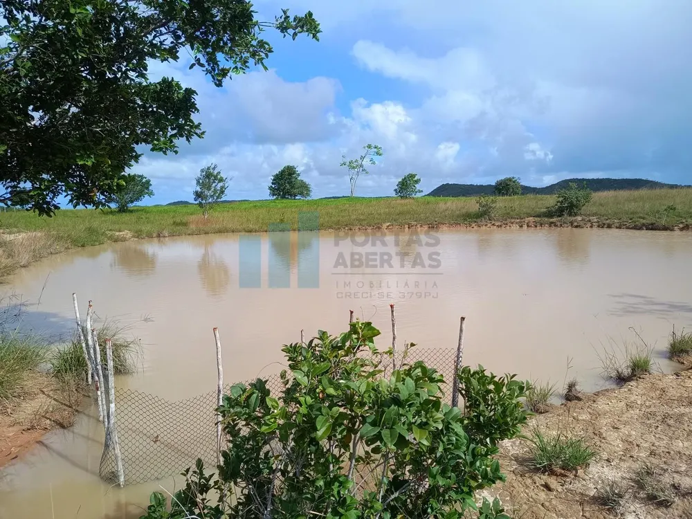 Fazenda, 101 hectares - Foto 2