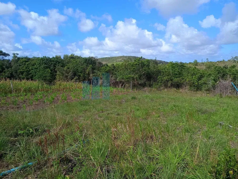 Fazenda, 101 hectares - Foto 7