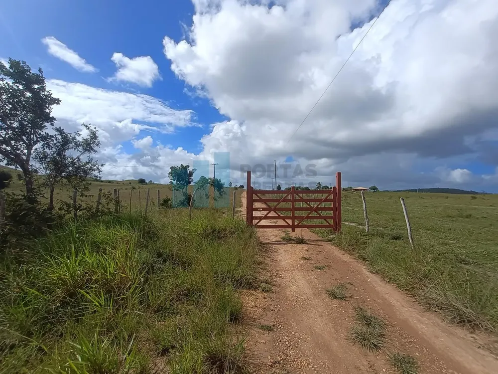 Fazenda, 101 hectares - Foto 1
