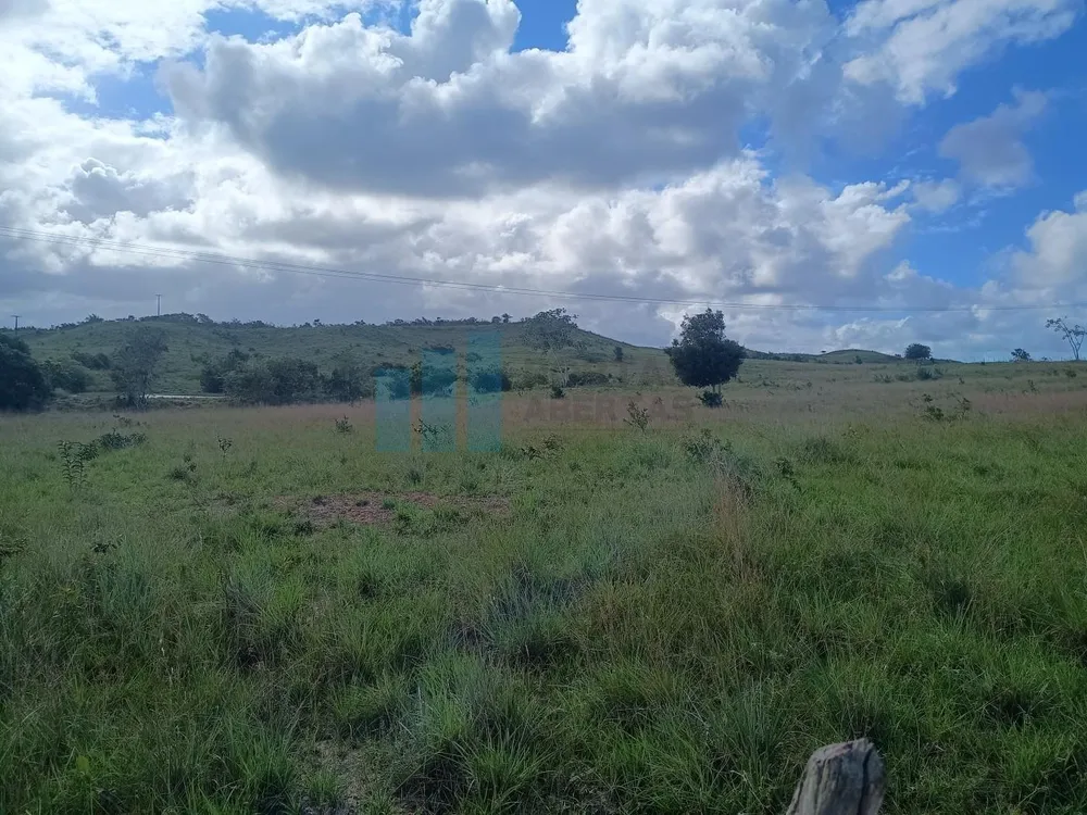 Fazenda, 101 hectares - Foto 12