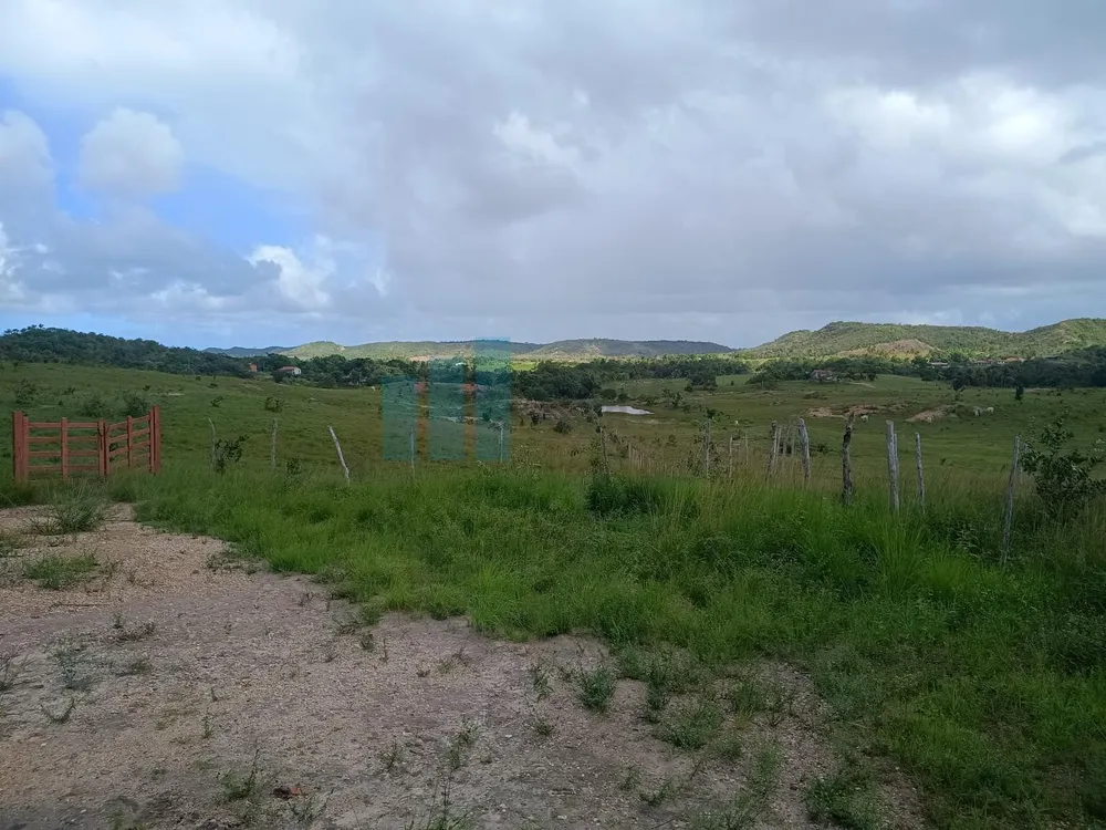 Fazenda, 101 hectares - Foto 4