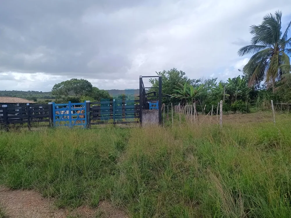 Fazenda, 101 hectares - Foto 9