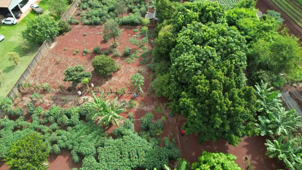 Chácara, 1 hectares - Foto 12