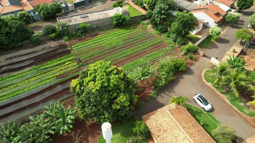 Chácara, 1 hectares - Foto 9