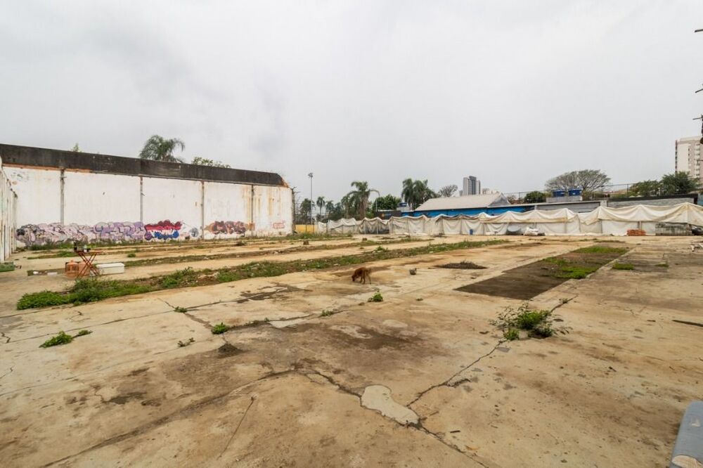 Terreno, 2392 m² - Foto 2