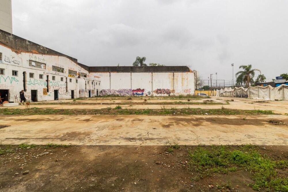 Terreno, 2392 m² - Foto 3