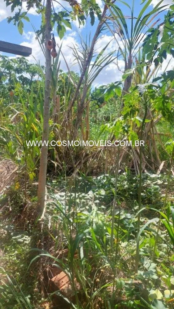 Chácara, 2 quartos - Foto 1