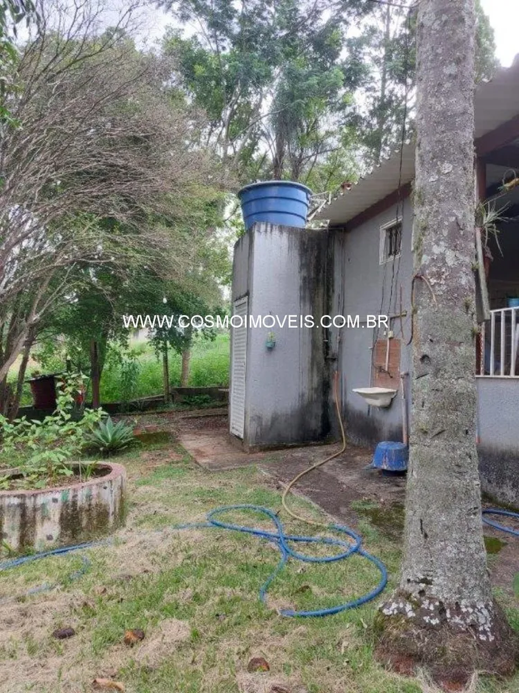 Chácara, 3 quartos - Foto 10