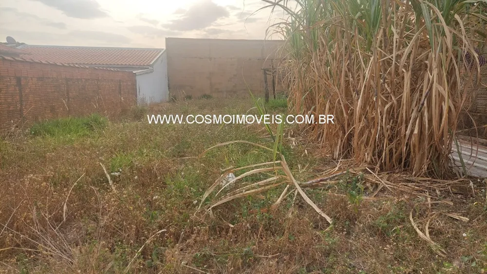 Terreno, 250 m² - Foto 3