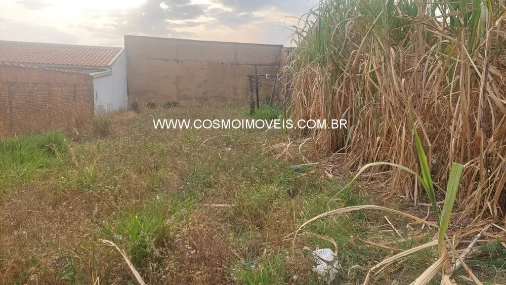 Terreno, 250 m² - Foto 3