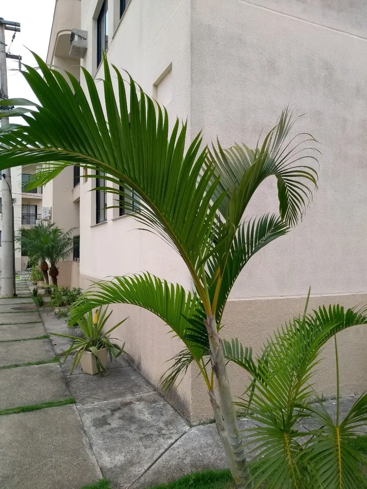 Apartamento, 2 quartos, 59 m² - Foto 6