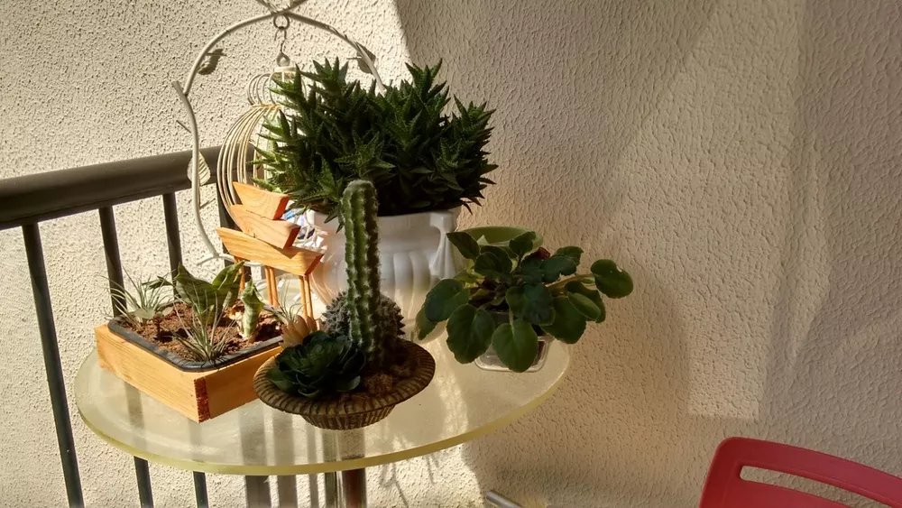 Apartamento, 2 quartos, 59 m² - Foto 12