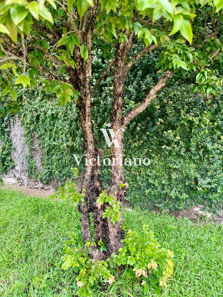Casa, 6 quartos, 300 m² - Foto 9