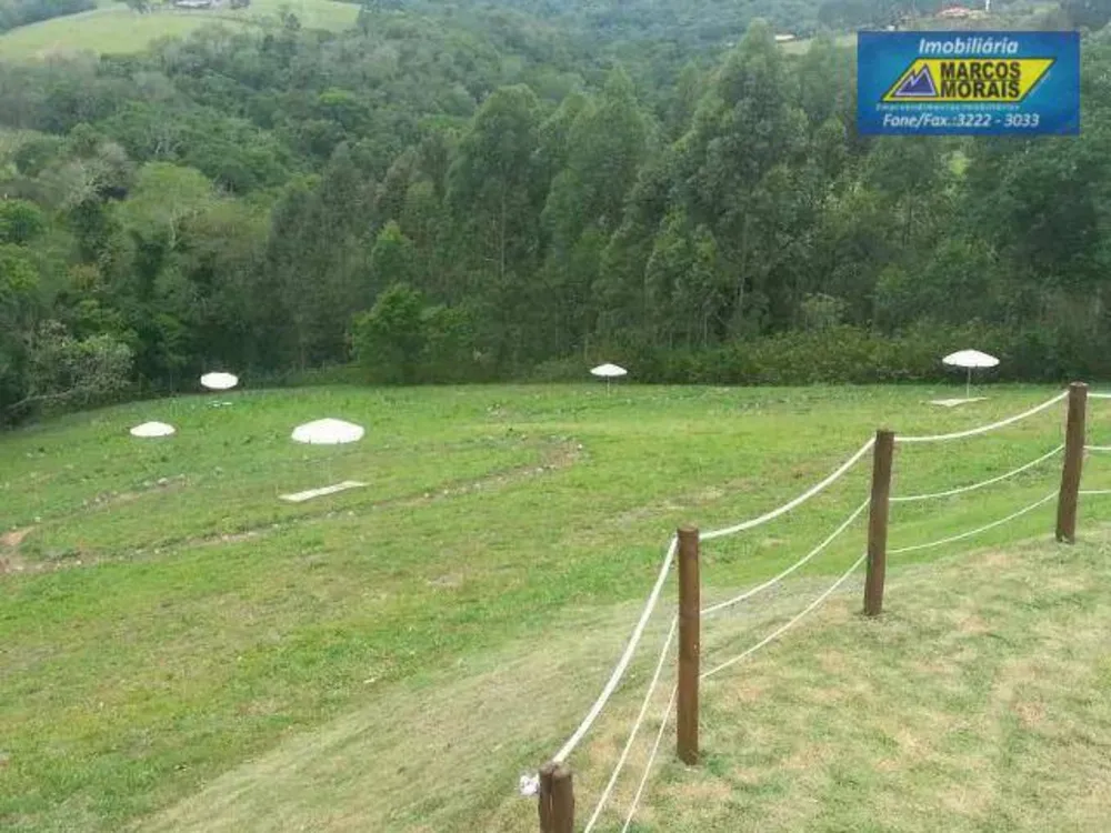 Terreno, 3 hectares - Foto 8