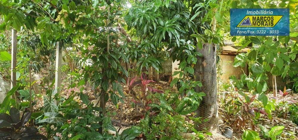 Terreno, 300 m² - Foto 3