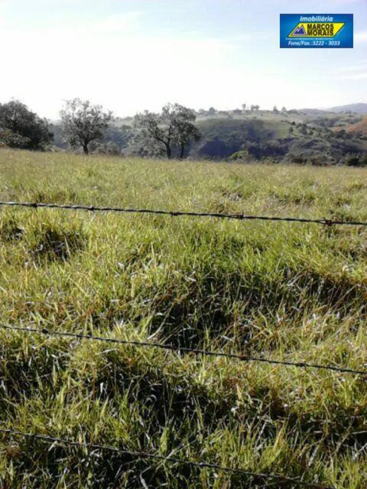 Terreno, 18 hectares - Foto 6