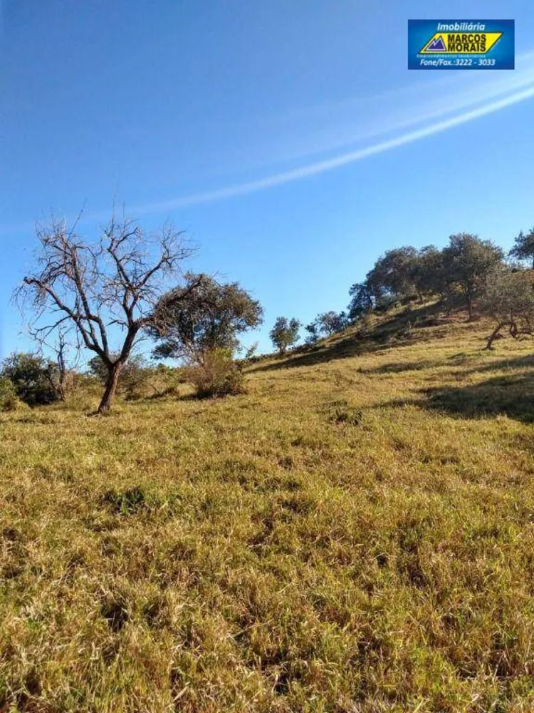 Terreno, 18 hectares - Foto 5