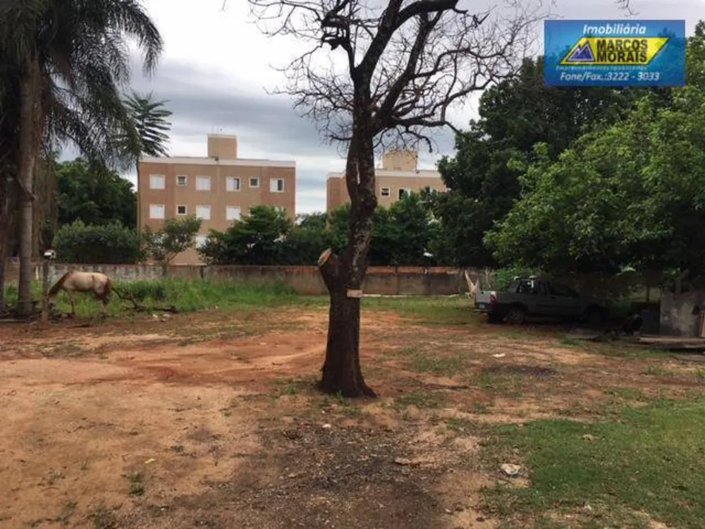 Terreno, 6000 m² - Foto 2