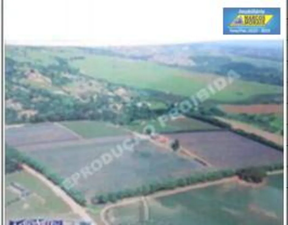 Sítio, 12 quartos, 157 hectares - Foto 3