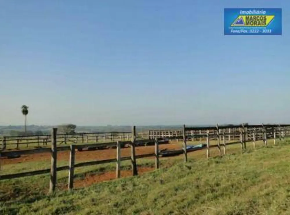 Sítio, 12 quartos, 157 hectares - Foto 12