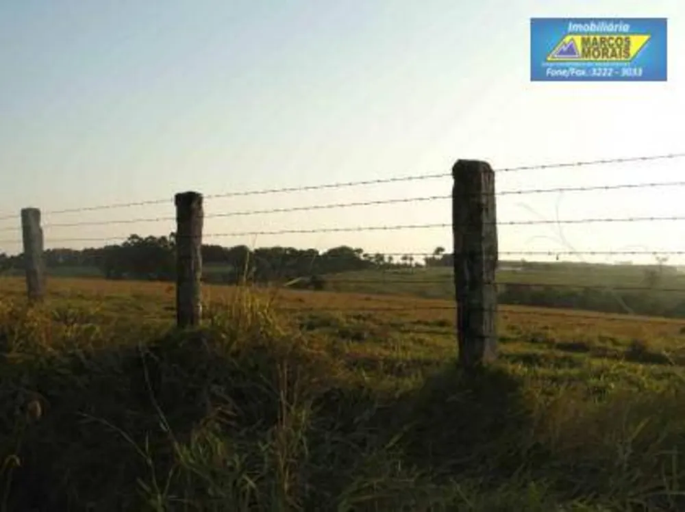 Sítio, 12 quartos, 157 hectares - Foto 8