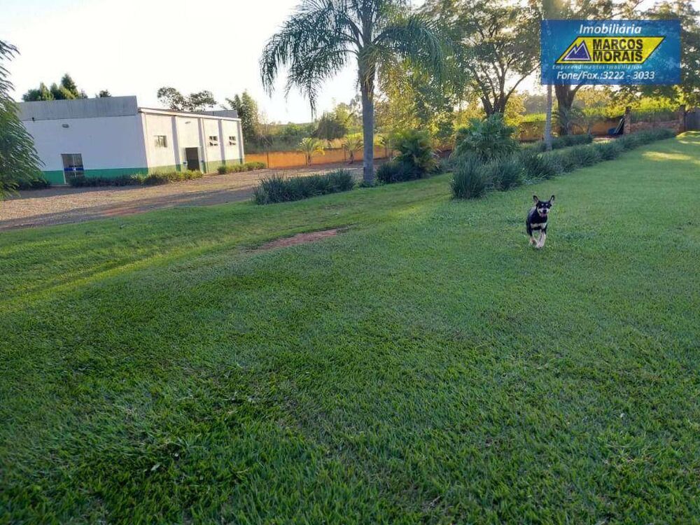 Chácara, 3 quartos, 6000 m² - Foto 4