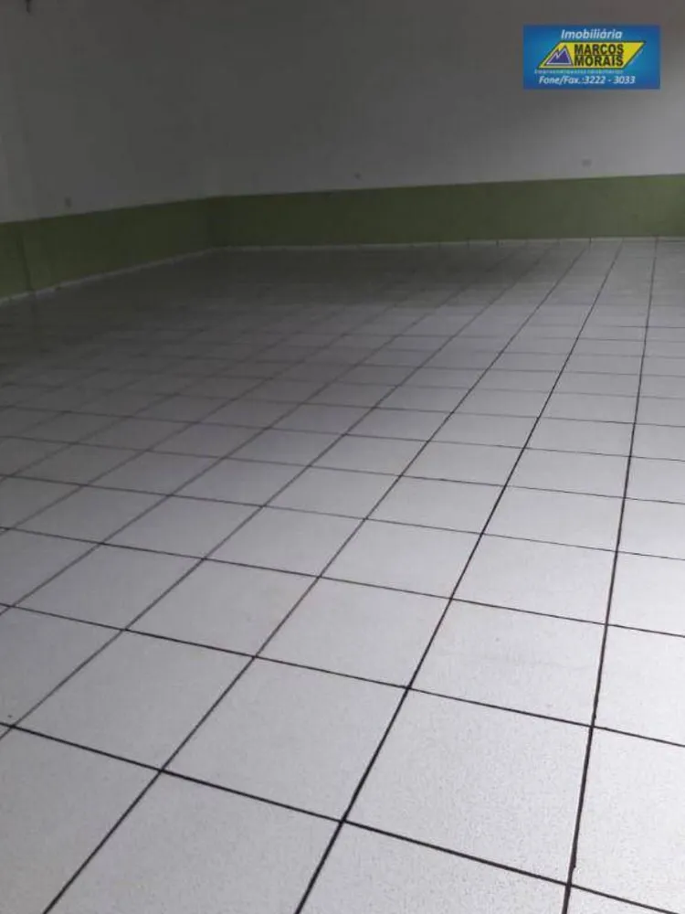 Chácara, 3 quartos, 6000 m² - Foto 15