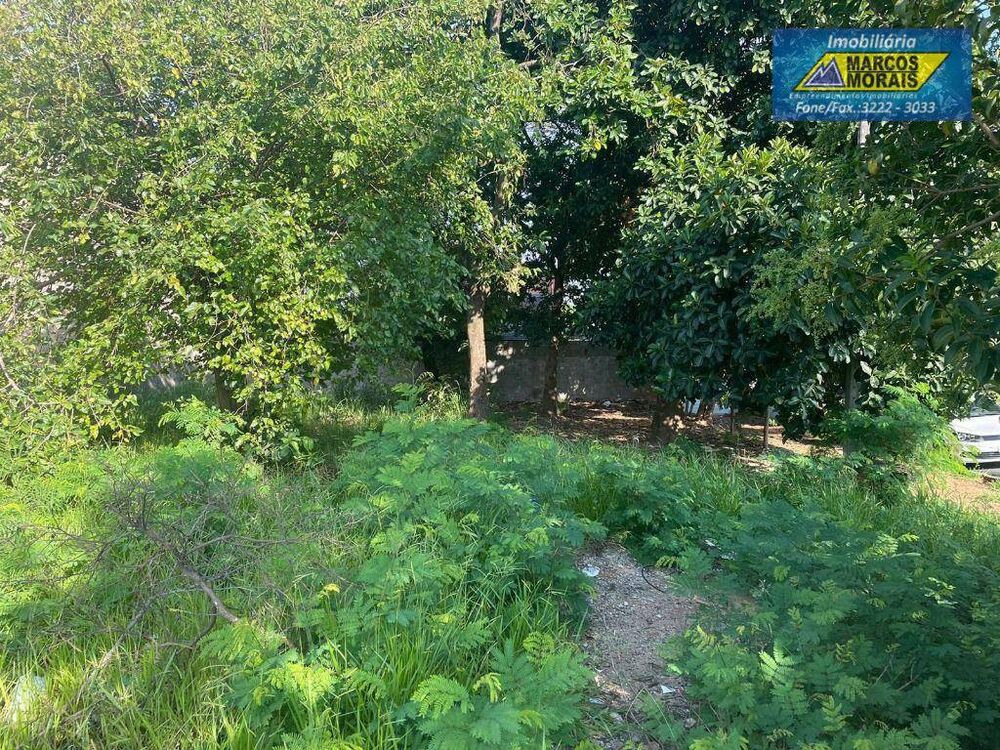 Terreno, 300 m² - Foto 4