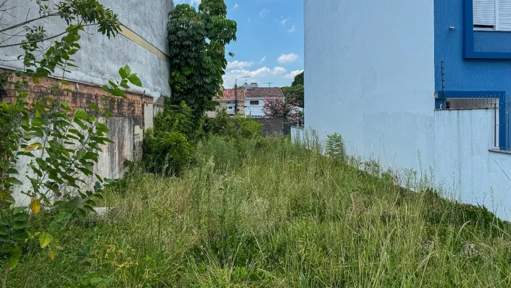 Terreno, 242 m² - Foto 7