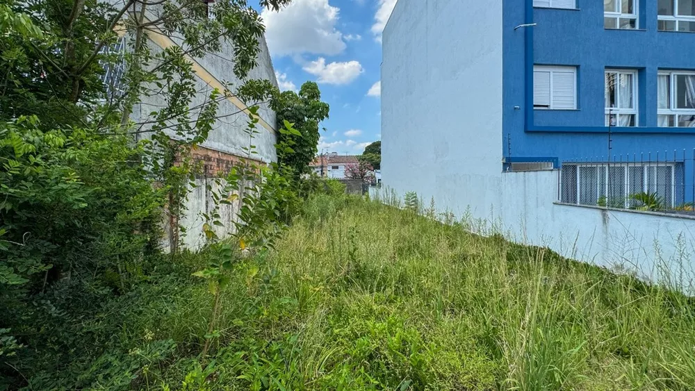Terreno, 242 m² - Foto 5