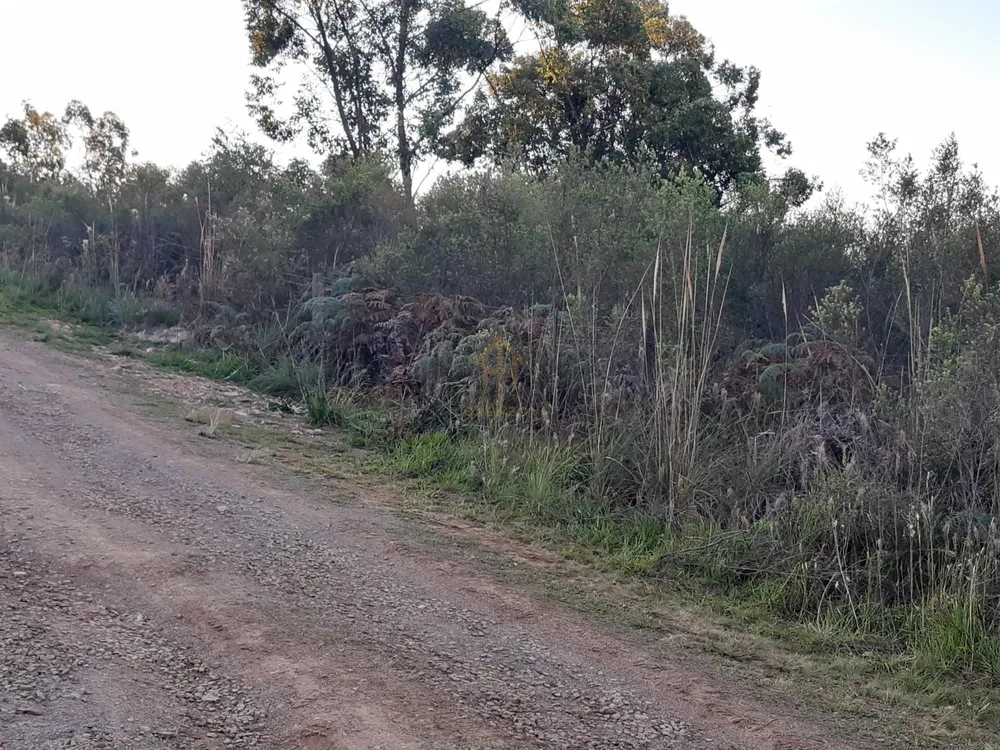 Terreno, 1500 m² - Foto 4